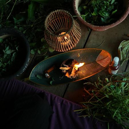Awaken Amazonian Healing Resort All Inclusive 伊基托斯 外观 照片
