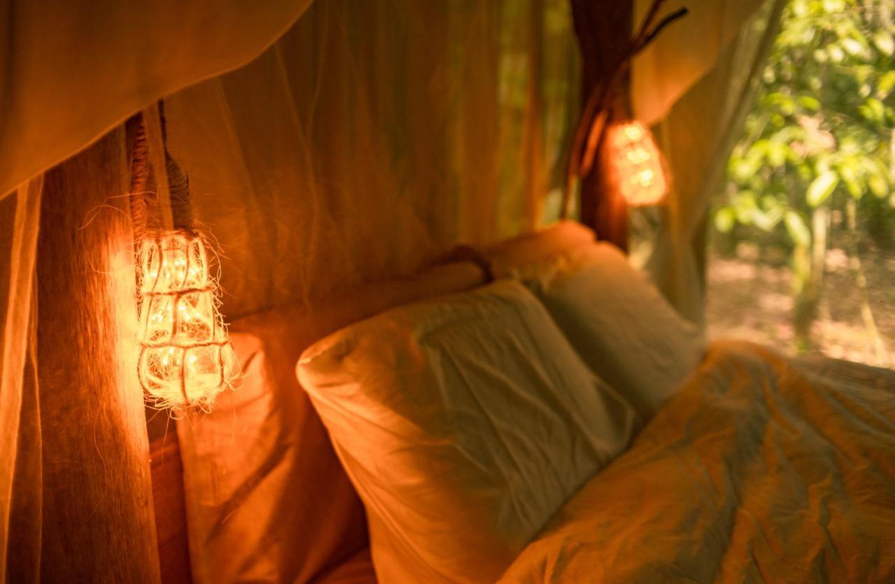 Awaken Amazonian Healing Resort All Inclusive 伊基托斯 外观 照片