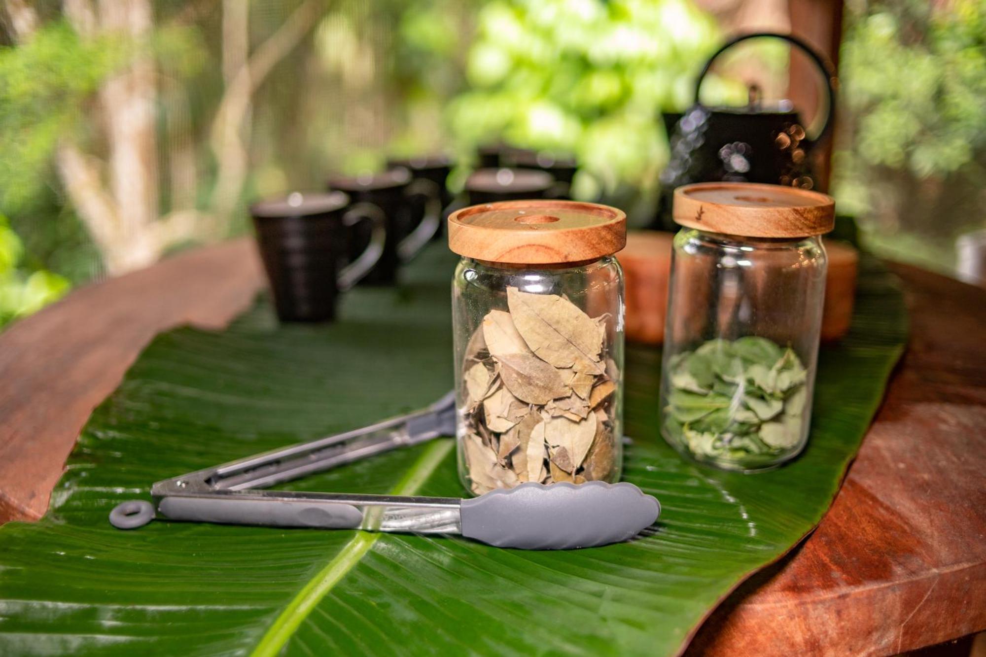 Awaken Amazonian Healing Resort All Inclusive 伊基托斯 外观 照片