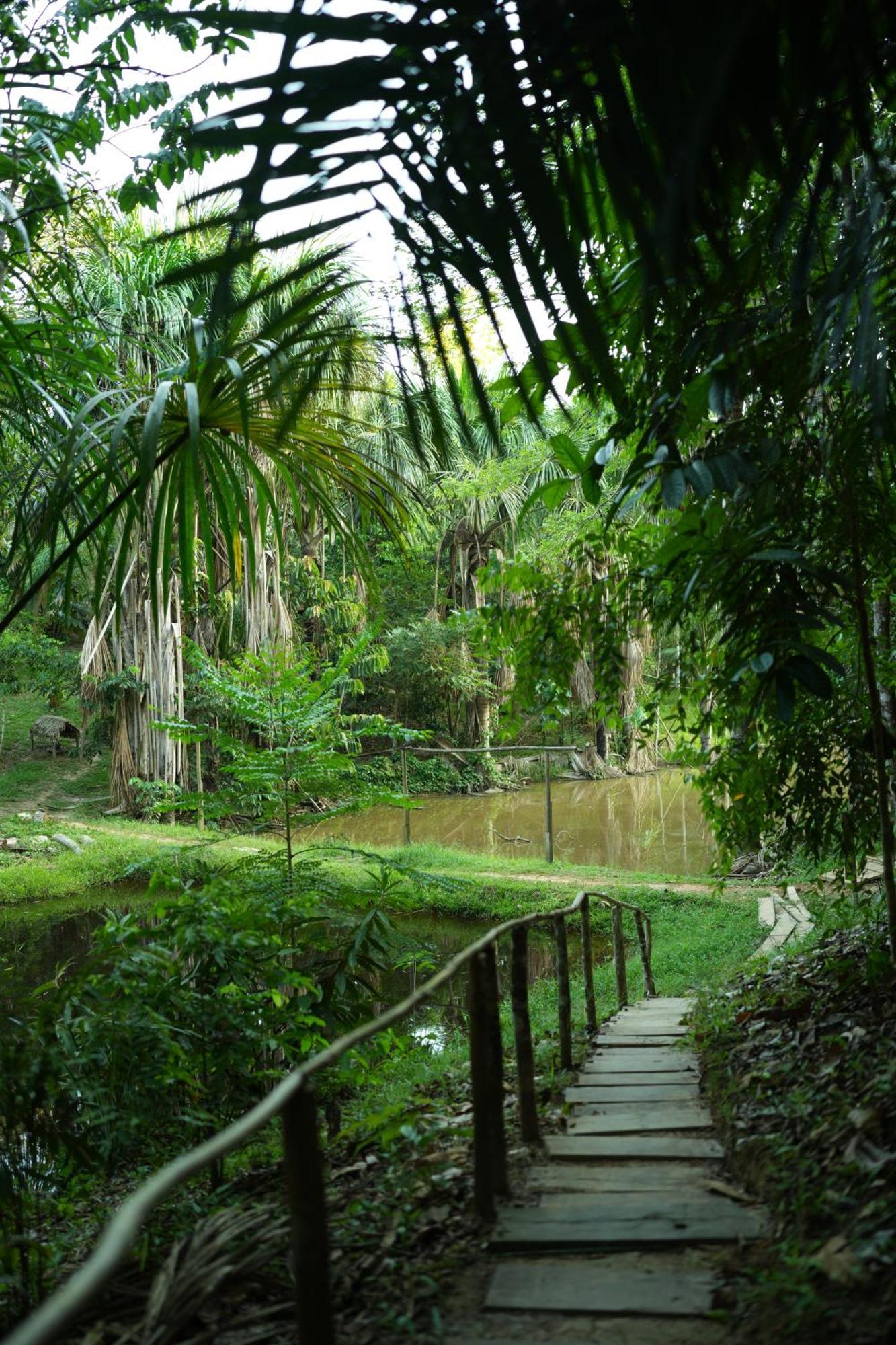 Awaken Amazonian Healing Resort All Inclusive 伊基托斯 外观 照片