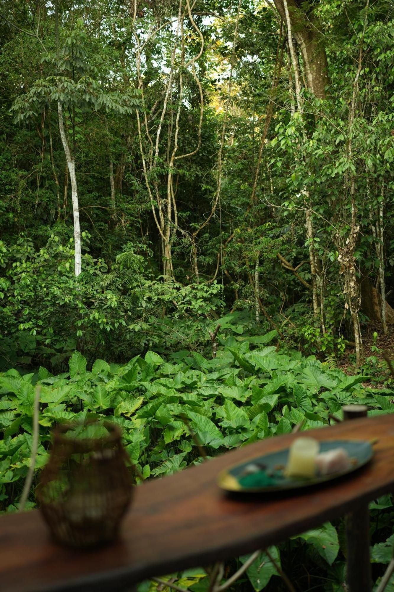 Awaken Amazonian Healing Resort All Inclusive 伊基托斯 外观 照片